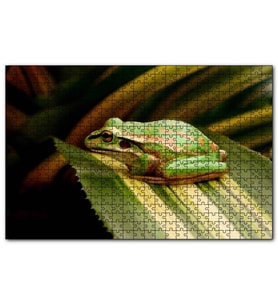 Cakapuzzle Yeşil Yaprak Üzerindeki Yeşil Kurbağa  Puzzle Yapboz MDF (Ahşap) (120 Parça)