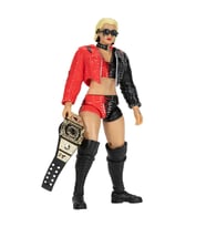 AEW Karakterleri Model Aksiyon Figürler S14 Toni Storm 130
