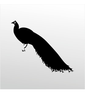 Folyo Sticker Tavuz Kuşu 40cm Uzunluk (Karışık)