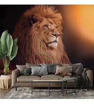 Aslan Temalı Duvar Kağıdı