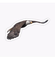 Araba için Kartal Oto Sticker Yapıştırması Etiket  17CM w4