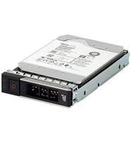 DELL 1TB 3.5 161-BBZW 7200RPM 512E SATA-3 SUNUCU DİSK