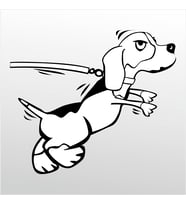 Folyo Sticker Kızgın Köpek 80cm Uzunluk (Karışık)