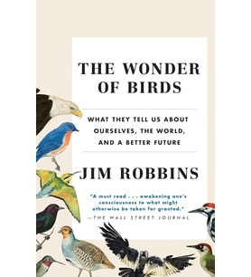 The Wonder Of Birds: What They Tell Us About Ourselves, The World, And A Better Future
