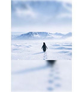 Nihilist Penguin Minimalist Penguen Ve Karlı Dağlar Tasarımlı Dekoratif MDF Tablo