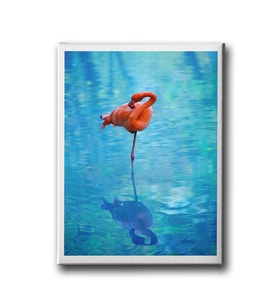Flamingo Canvas Tablo MİND285