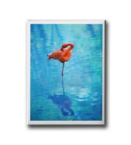 Flamingo Canvas Tablo MİND285