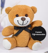 Kişiye Özel Canım Öğretmenim Tahtası ve Sevimli Çiçek Ayı