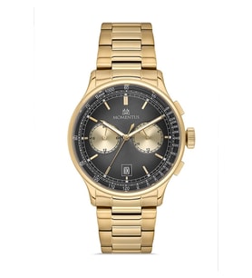 Momentus CC305G-04SG
