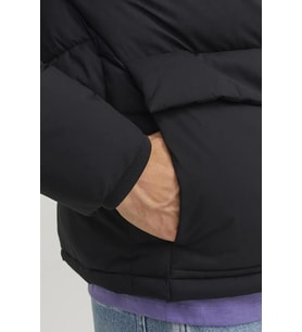 Jack & Jones Erkek Mont 12238849