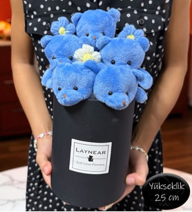 Siyah Silindir Kutu İçinde Sevimli Mavi Renkli Peluş Ayıcıklar