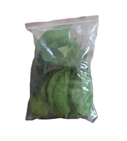 taze portakal yaprağı 200 gr günlük toplama