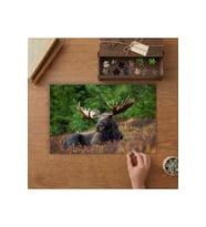 Çayırda Dinlenen Sığın Tasarımı 240 parça Ahşap Puzzle Ahşap Kutuda MP09957