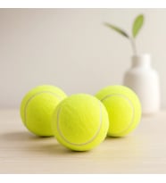 Northcity 3'lü Tenis Kort Topu - Poşetli Kartela Ambalaj
