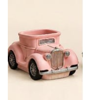 pembe woswos araba
