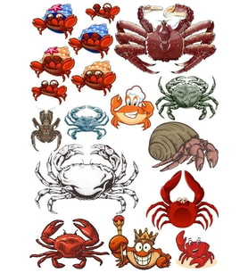 Yengeç Sticker  Set 15 Parça Telefon, Tablet, Defter, Laptop Sticker