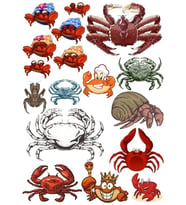 Yengeç Sticker  Set 15 Parça Telefon, Tablet, Defter, Laptop Sticker