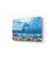 Miyrem Glasses Collection -A1^#  Su Alti Canlilari (Çok Renkli)