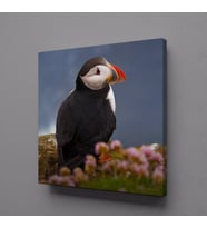 ÜZGÜN KUŞ KANVAS TABLO 50x50cm (Karışık)
