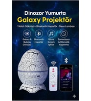 Bluetooth Hoparlörlü RGB Gece Lambası – Dinazor yumurtası Işıklı, Uzaktan Kumandalı Dekor Lamba