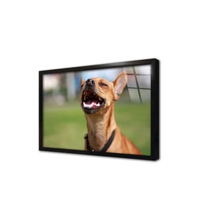 Köpek Çerçeveli Cam Tablo
