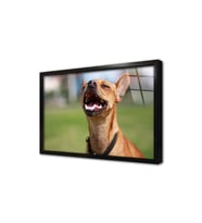 Köpek Çerçeveli Cam Tablo