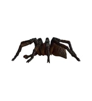 Adore Oyuncak 13986 Schleich -Sentor Firenze - Harry Potter Serisi +3 Yaş
