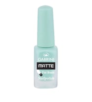 Gabrini Matte Nail Polish 24