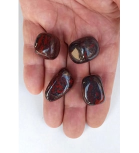 50 Gram Iron Jasper Tamburlu Parçalar 646