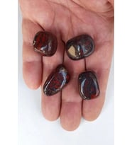 50 Gram Iron Jasper Tamburlu Parçalar 646