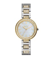 Fossil FBQ3884 Kadın Kol Saati