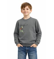 Erkek Çocuk Önü Arkası Baskılı Sweatshirt BGL-ST05243 (Yeşil)