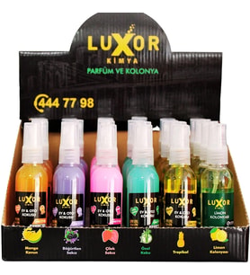 Luxor Kimya 24 Adet 50 ml Ev & Oto Koku Seti Özel Kutulu