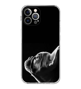 PrintiFy iPhone 12 Pro ile Uyumlu Köpek 1 Kamera Korumalı Şeffaf Kılıf