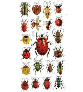 Sticker Kabartmalı Stiker Çıkartma Etiket (XHC084)-18x9 cm- Renkli Böcekler