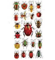 Sticker Kabartmalı Stiker Çıkartma Etiket (XHC084)-18x9 cm- Renkli Böcekler