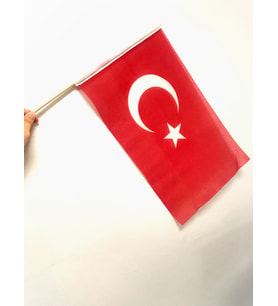 5'LU Elde Sallama Türk Bayrağı 30X45