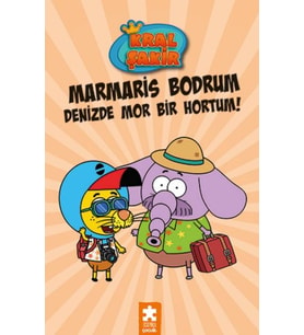 14 - Marmaris Bodrum Denizde Mor Bir Hortum