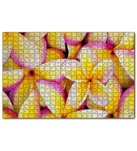 Cakapuzzle Sarı Plumeria Çiçekleri  Puzzle Yapboz MDF (Ahşap) (120 Parça)