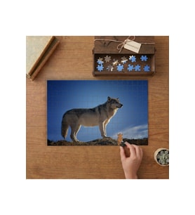 Gri Kurt - Mavi Gökyüzü Tasarımı 240 parça Ahşap Puzzle Ahşap Kutuda MP03037