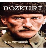 Bozkurt