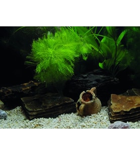 Kanki Pet KP5540033 Akvaryum Arka Fon Yapıştırma 55 x 40 CM