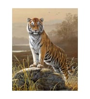Majestik Kaplan Sticker(Çerçeveli) 70x90 Sayılarla Boyama Hobi Seti
