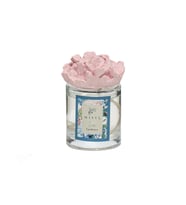 100 ml Pembe Seramik Taşlı Gardenya Oda Kokusu