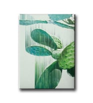 Kaktüs Canvas Tablo MİND691