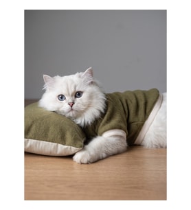 Natura Cozy Pati & Yastık Nefti Yeşil Polar Kedi Sweatshirt ve Mini Yastık 2 Parça