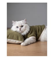 Natura Cozy Pati & Yastık Nefti Yeşil Polar Kedi Sweatshirt ve Mini Yastık 2 Parça