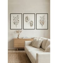 Minimalist Botanik Çizimler 3’lü Ahşap Çerçeveli Tablo Seti