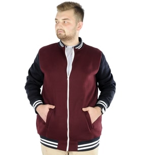Mode XL Büyük Beden Erkek Kolej Mont 22618 Mürdüm