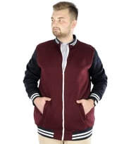 Mode XL Büyük Beden Erkek Kolej Mont 22618 Mürdüm
